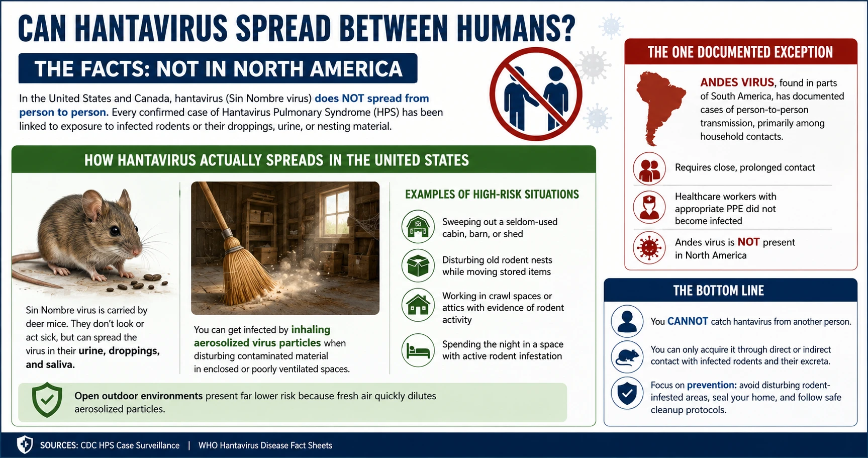 Infographic: Can hantavirus spread between humans — Sin Nombre virus transmission facts, the Andes virus exception, and what poses real risk