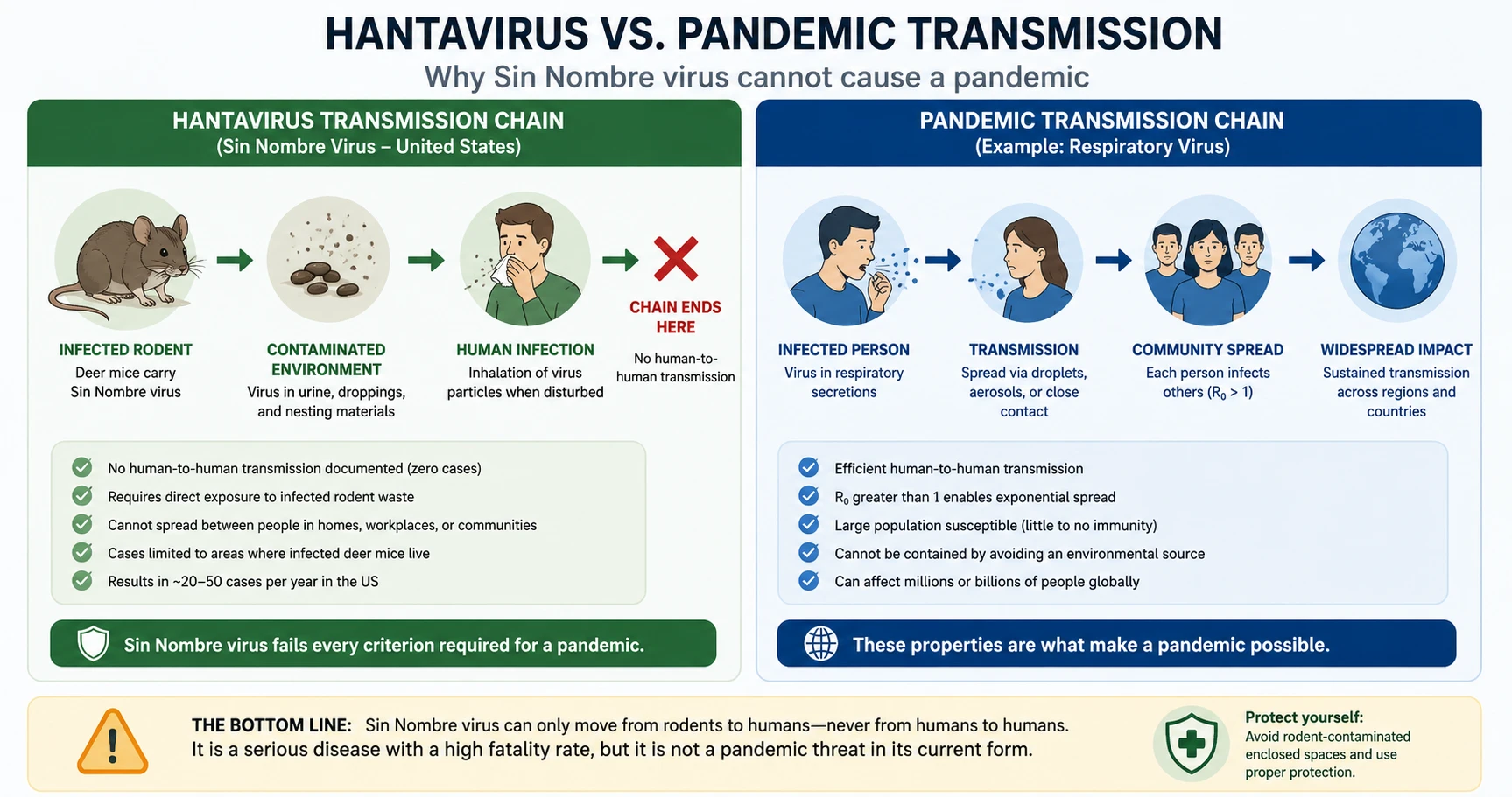 Scientific diagram comparing hantavirus transmission chain (rodent to human only) against a pandemic transmission chain (human to human at scale)