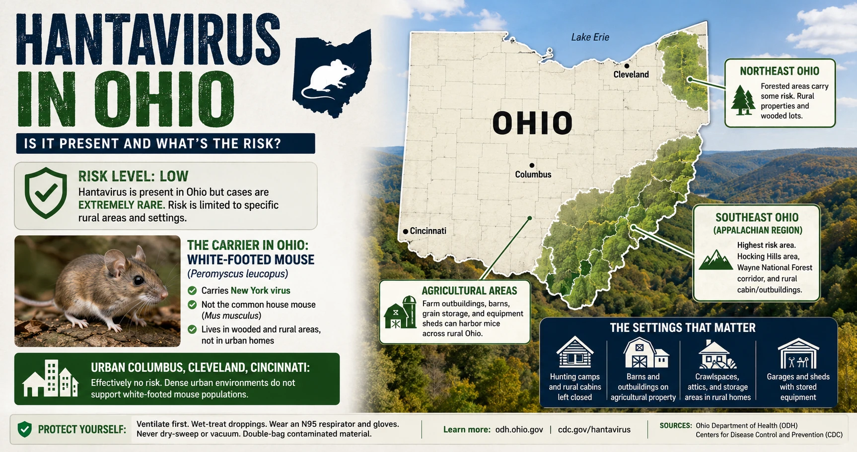 Ohio map highlighting rural southeastern Appalachian region and northeastern forested areas where white-footed mice carry hantavirus
