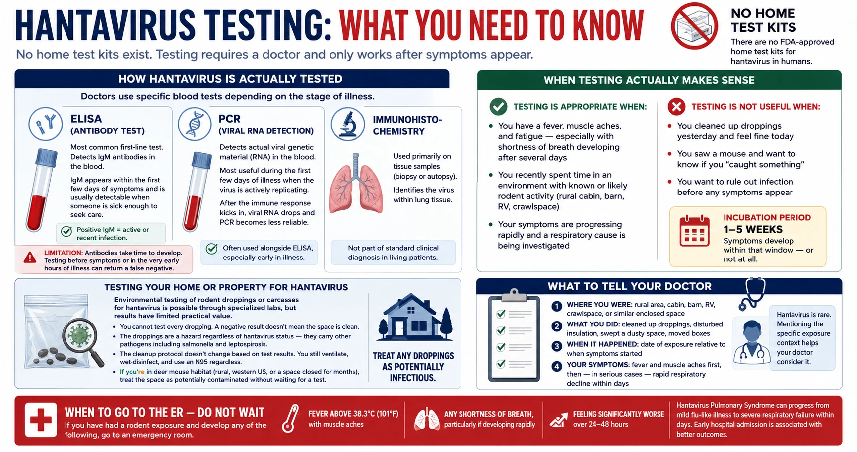 Infographic: Hantavirus testing — no home kits, blood test types ELISA and PCR, when to see a doctor, and what to tell your physician