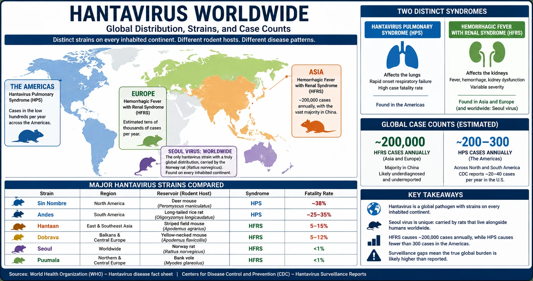 Infographic: Hantavirus worldwide — global strains, rodent hosts, HFRS vs HPS distribution, and regional mortality rates