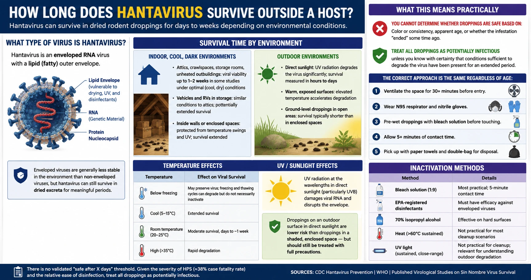 Infographic: How long does hantavirus survive outside a host — survival by environment, temperature, UV exposure, and inactivation methods